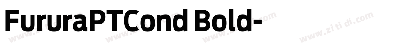 FururaPTCond Bold字体转换